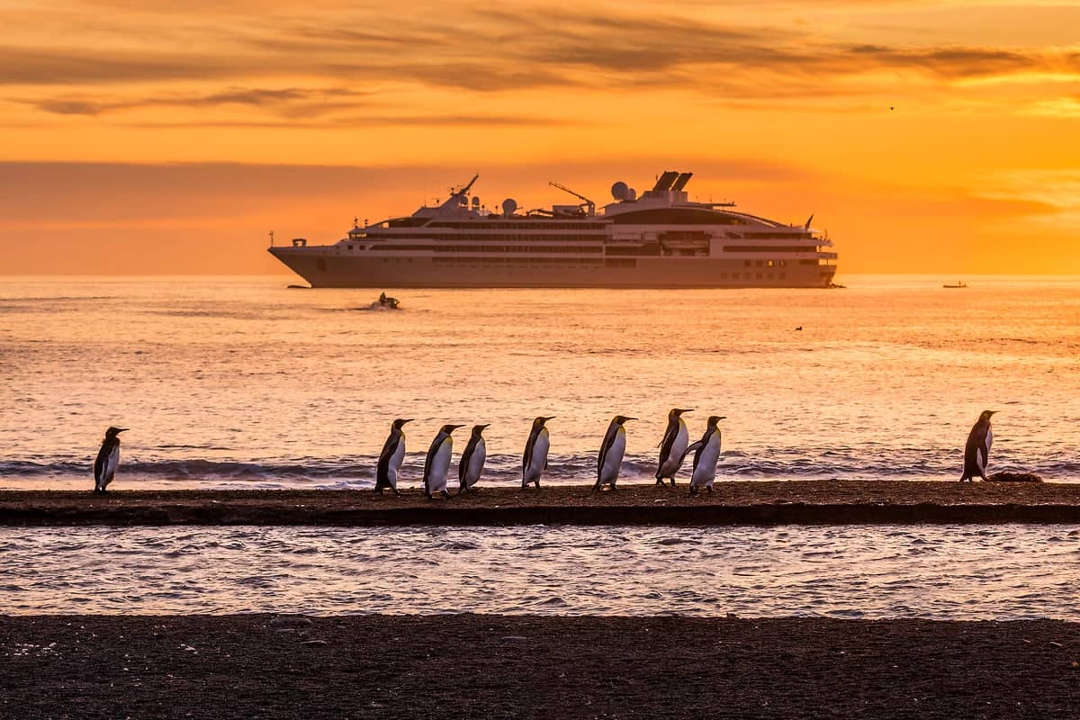 Manchots royaux, St Andrews, Les Sisterships