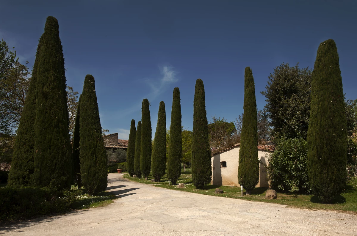 Allée, Relais Della Rovere, Toscane, Italie