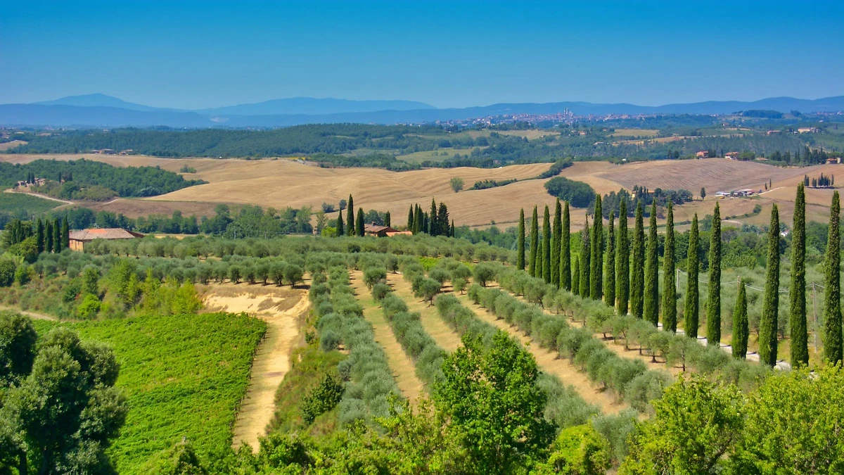 Vue sur la campagne toscane, Locanda San'Agata, Toscane, Italie