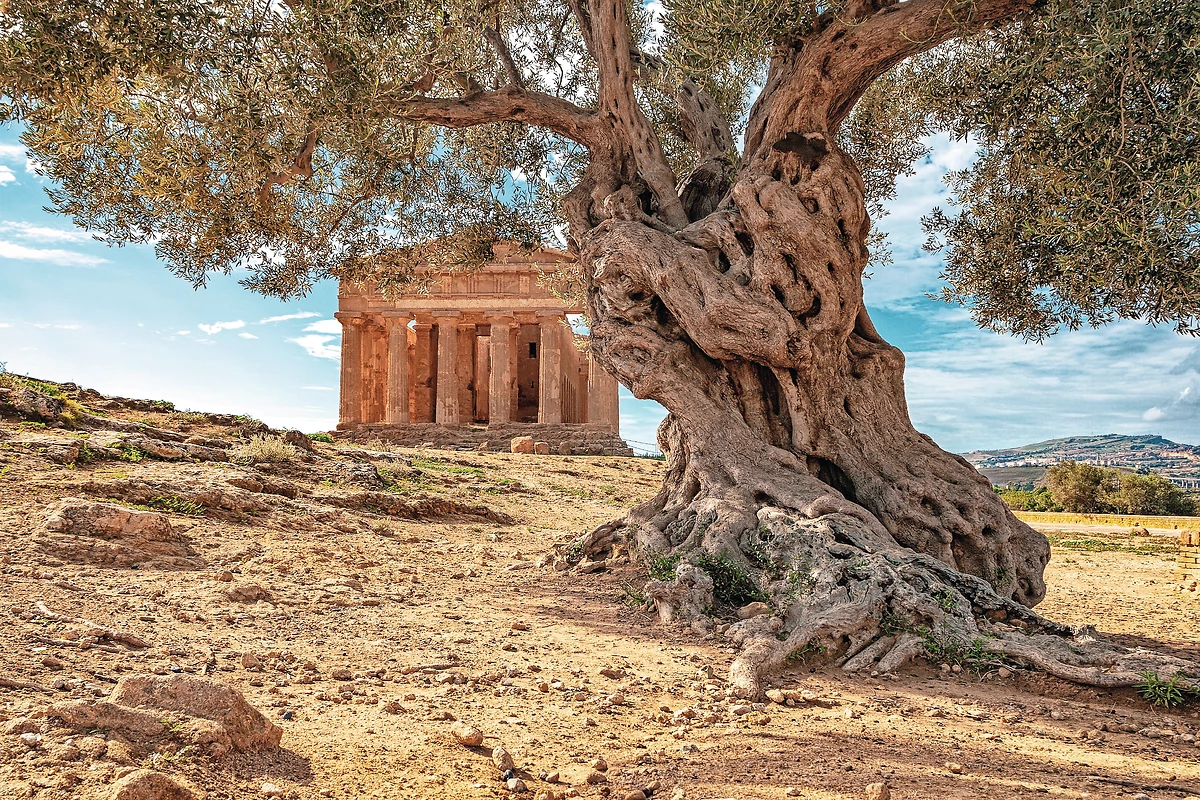 Temple grec, vallée des Temples, Agrigente, Sicile, Italie