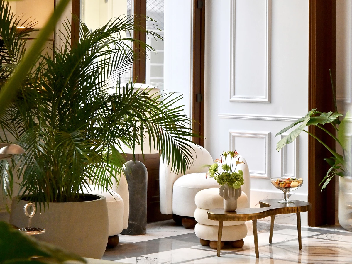 Lobby de l'hôtel, THE DOLLI