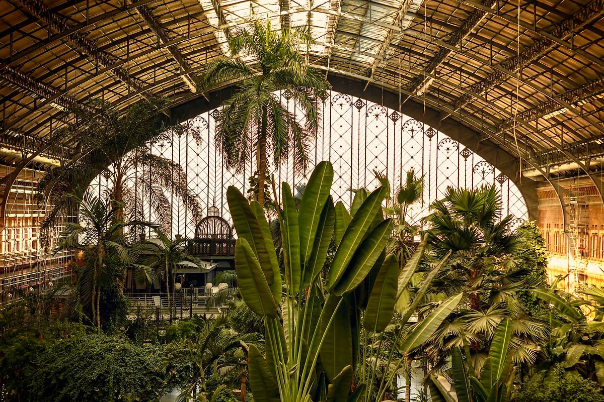 Jardin botanique à la gare d'Atocha, Madrid, Espagne