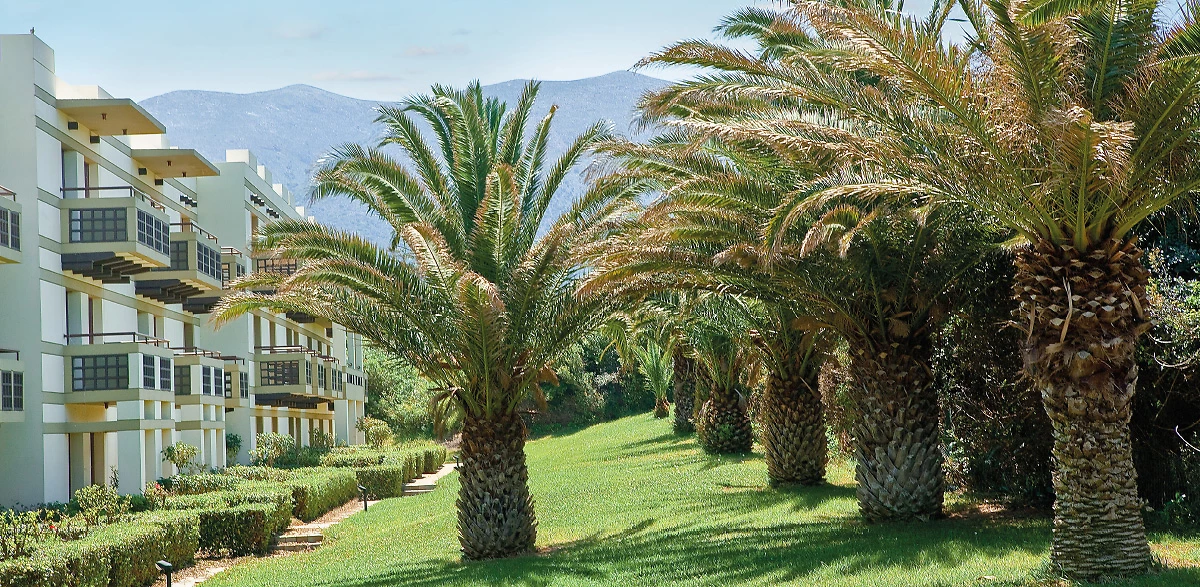 Chambre double vue jardin