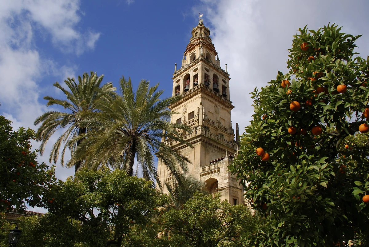 Jardin de la mosquée de Cordoue, Andalousie