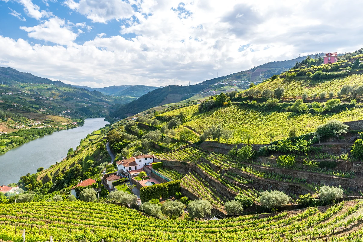 Vallée du Douro