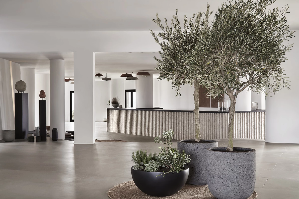 Réception de l'hôtel, Orama Hotel & Spa, Santorin, Grèce