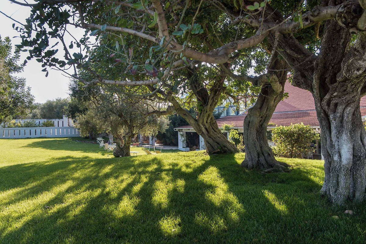 Jardin, Masseria Il Melograno,Monopoli Il Melograno, Pouilles, Italie