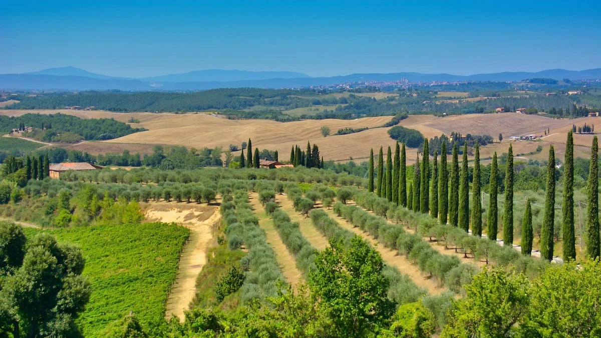 Vue sur la campagne toscane, Locanda San'Agata, Toscane, Italie