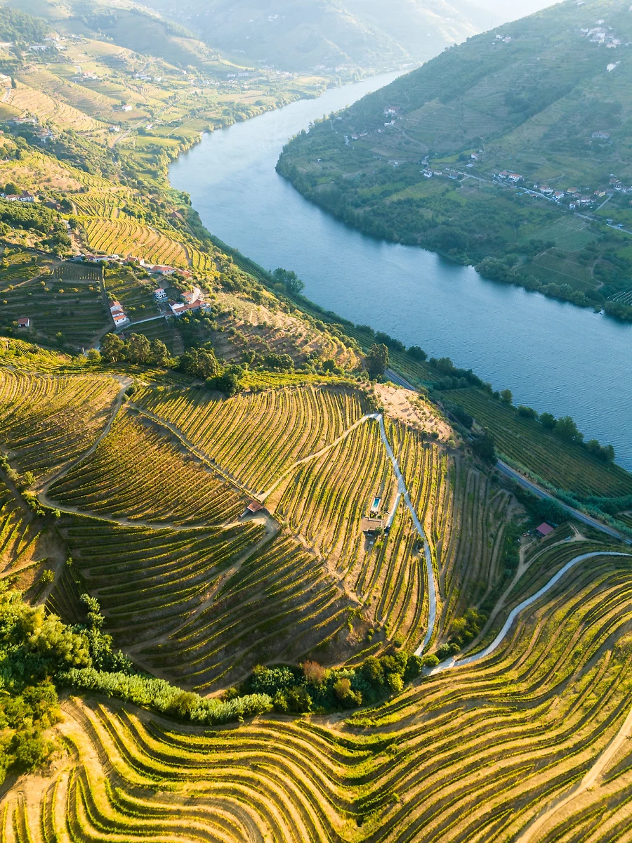 Vignobles, Vallée du Douro, Portugal