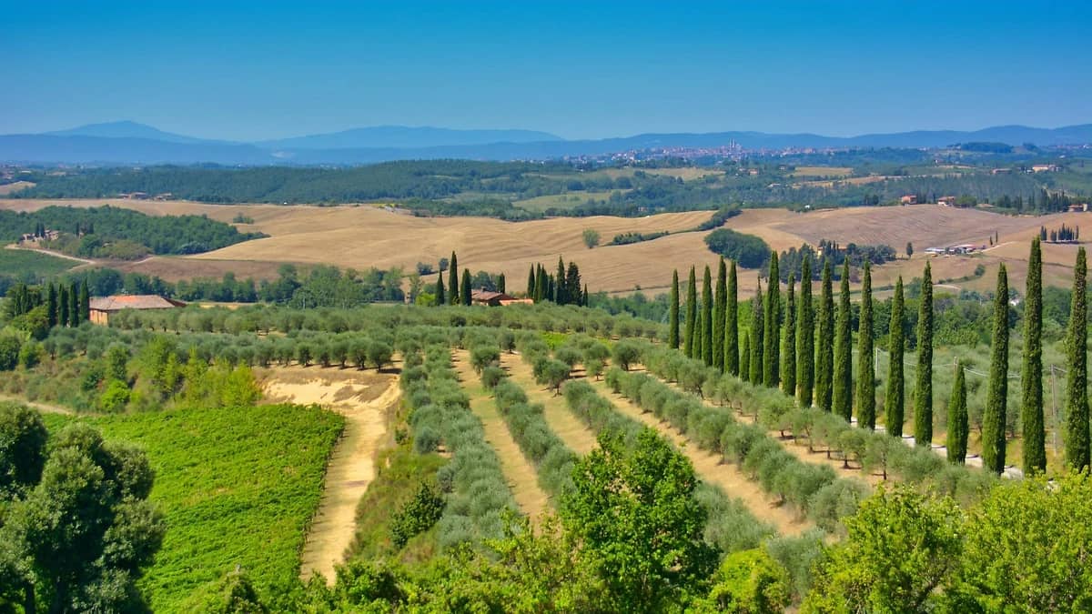Vue sur la campagne toscane, Locanda San'Agata, Toscane, Italie