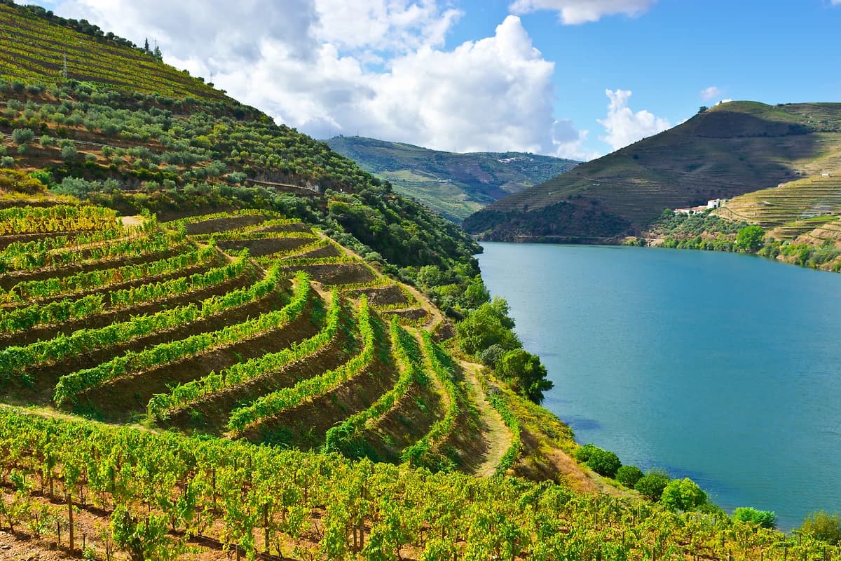 Vignobles, Vallée du Douro, Portugal