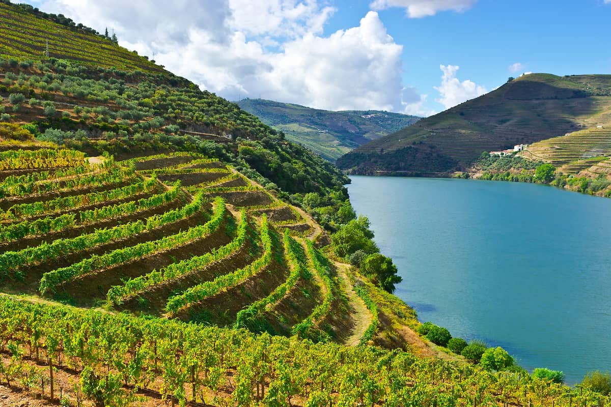 Vignobles, Vallée du Douro, Portugal