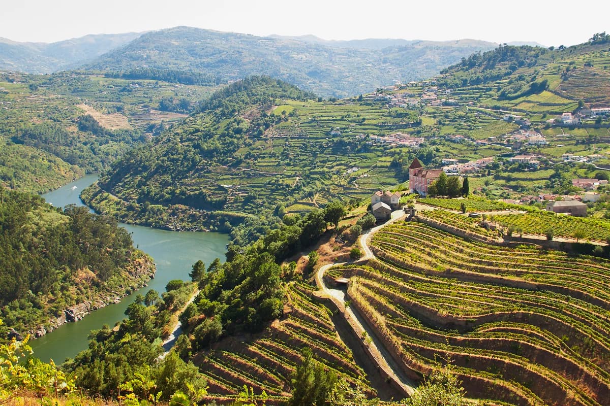 Vignobles dans la vallée du Douro, Portugal