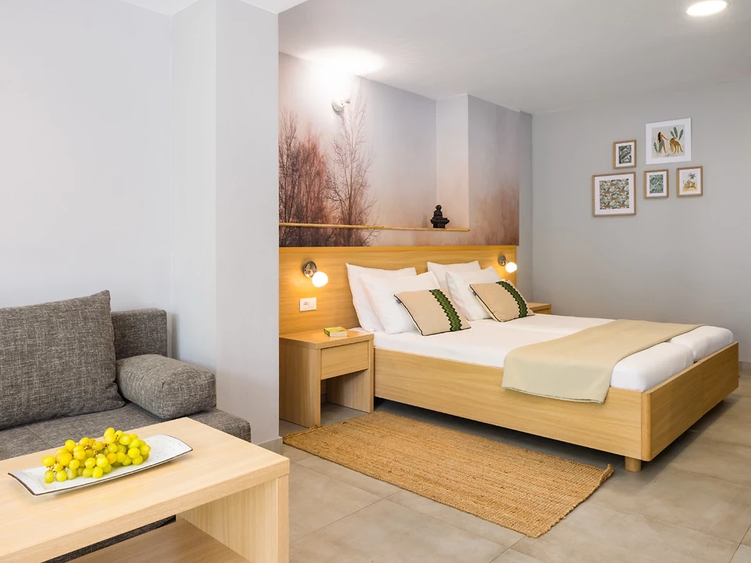 Chambre double supérieure avec terrasse