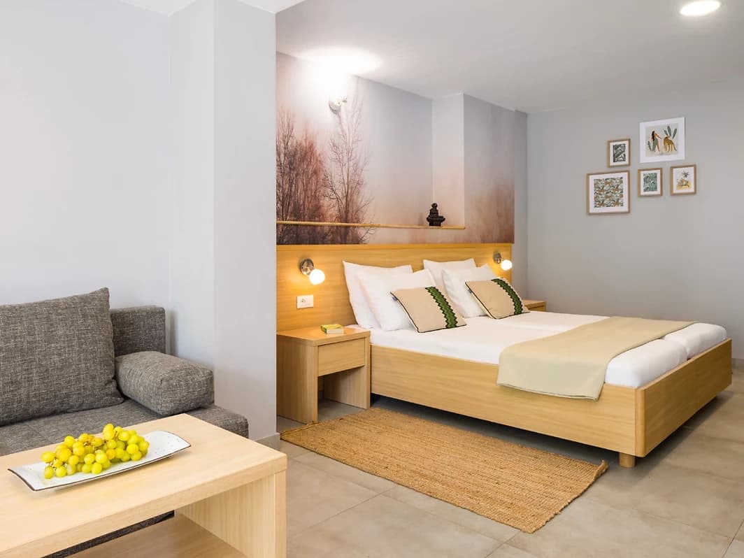 Chambre double supérieure avec terrasse