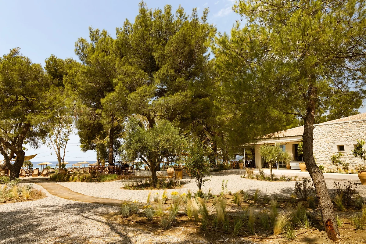 Restaurant, Ergon Beach House Nikiti