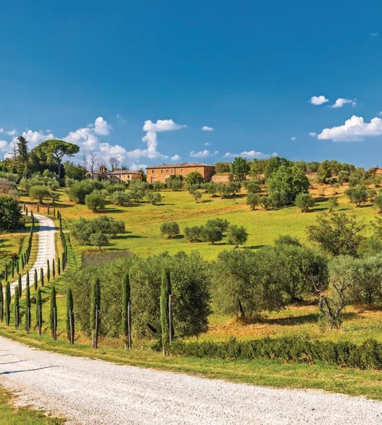 Campagne Toscane près de Montepulciano et Monticchielo, Toscane