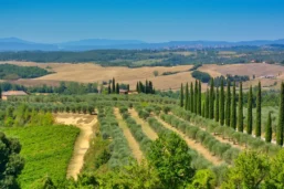Vue sur la campagne toscane, Locanda San'Agata, Toscane, Italie